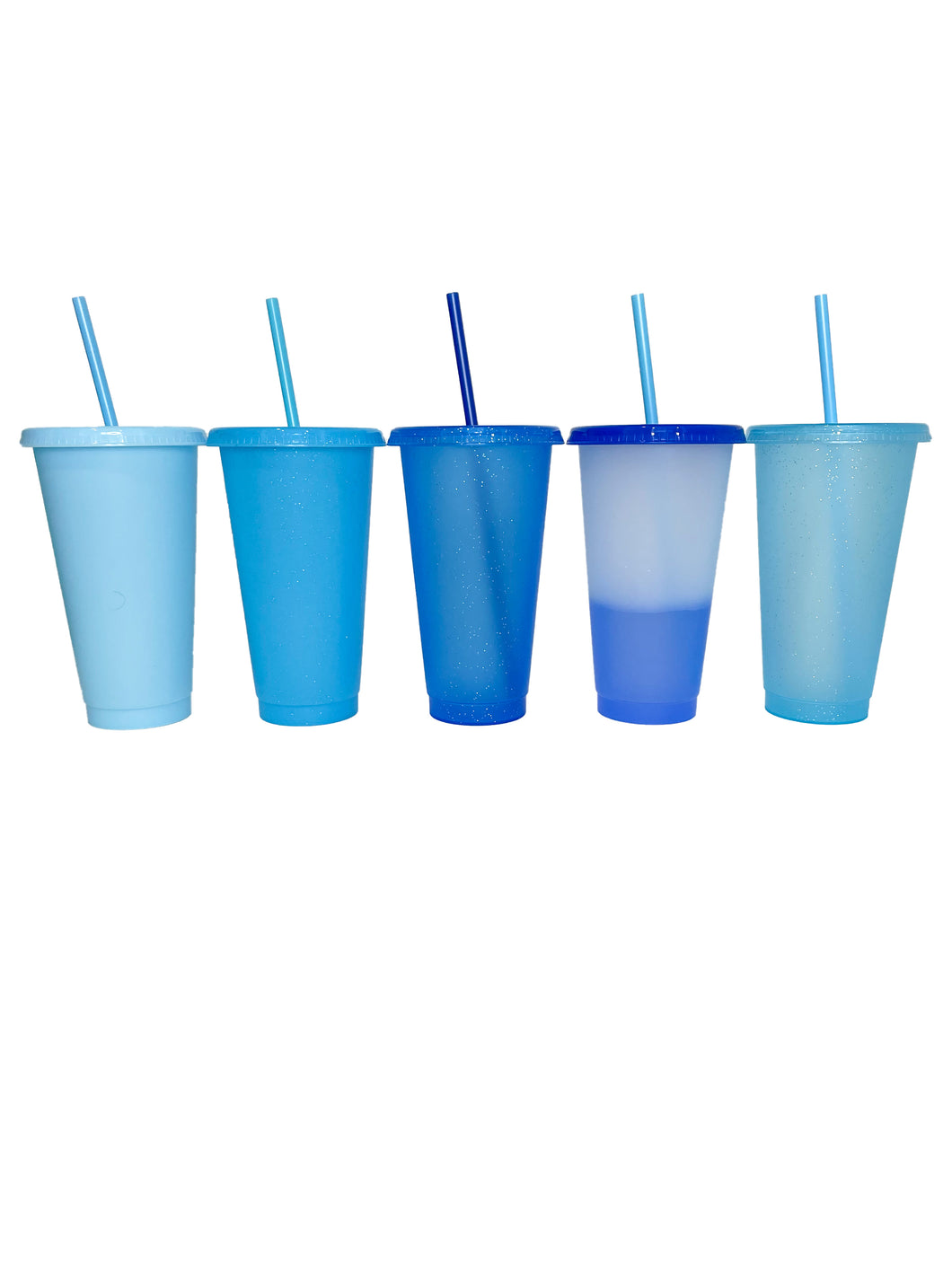 24oz Winter Blue Collection (5 Pack)